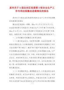 某市关于X届自治区党委第X轮安全生产工作专项巡视整改进展情况的报告