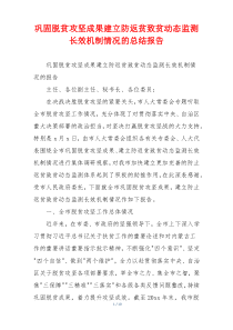 巩固脱贫攻坚成果建立防返贫致贫动态监测长效机制情况的总结报告