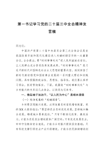 第一书记学习党的二十届三中全会精神发言稿