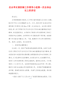 在水旱灾害防御工作领导小组第一次全体会议上的讲话