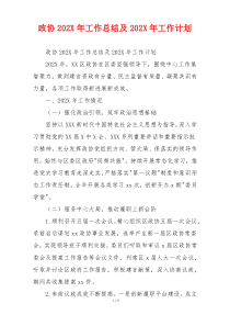 政协202X年工作总结及202X年工作计划