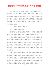 发改委上半年工作总结及下半年工作打算