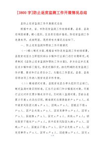 [3800字]防止返贫监测工作开展情况总结