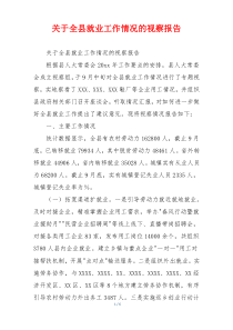 关于全县就业工作情况的视察报告