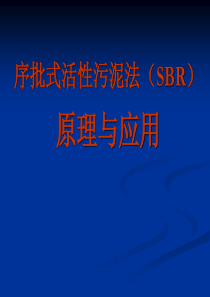 SBR工艺调试