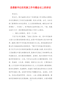 县委副书记在民族工作专题会议上的讲话