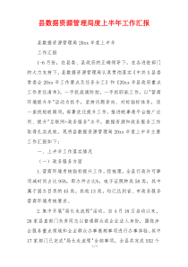 县数据资源管理局度上半年工作汇报