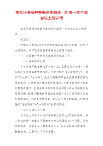 在县环境保护督察巡查领导小组第一次全体会议上的讲话