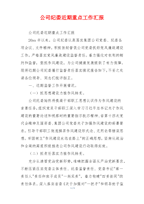 公司纪委近期重点工作汇报