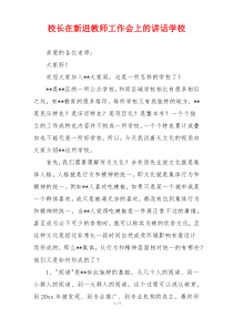 校长在新进教师工作会上的讲话学校