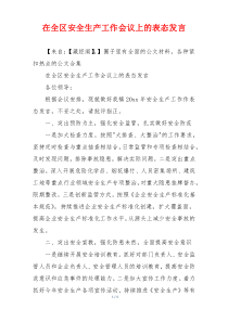 在全区安全生产工作会议上的表态发言