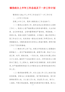 镇党政办上半年工作总结及下一步工作计划