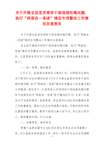 关于开展全县党员领导干部违规吃喝问题、执行“两报告一承诺”情况专项整治工作情况自查报告