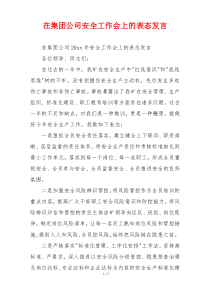 在集团公司安全工作会上的表态发言