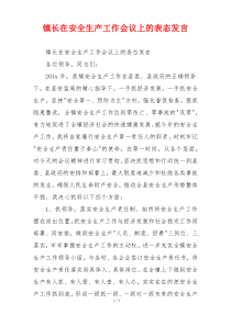 镇长在安全生产工作会议上的表态发言