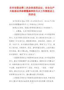 在市安委会第二次全体成员会议、安全生产大检查动员部署暨森林防灭火工作推进会上的讲话