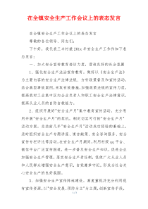 在全镇安全生产工作会议上的表态发言