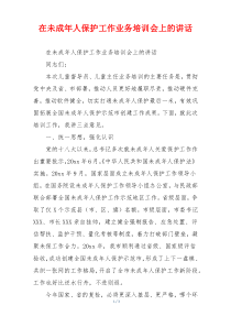 在未成年人保护工作业务培训会上的讲话