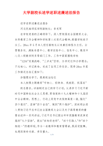 大学副校长述学述职述廉述法报告