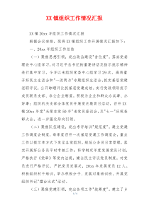 XX镇组织工作情况汇报