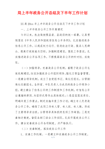 局上半年政务公开总结及下半年工作计划