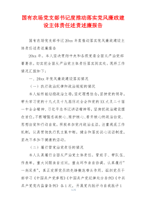 国有农场党支部书记度推动落实党风廉政建设主体责任述责述廉报告