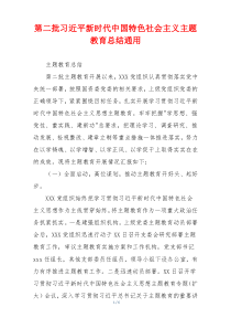 第二批习近平新时代中国特色社会主义主题教育总结通用