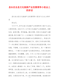 县长在全县文化旅游产业发展领导小组会上的讲话