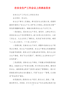 在安全生产工作会议上的表态发言