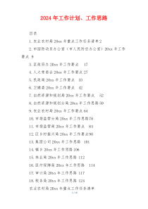 2024年工作计划、工作思路