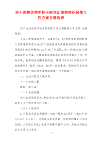 关于选拔优秀年轻干部到团市委挂职锻炼工作方案含推选表