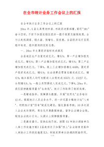 在全市统计业务工作会议上的汇报