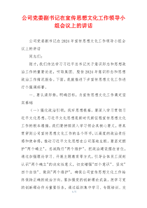 公司党委副书记在宣传思想文化工作领导小组会议上的讲话