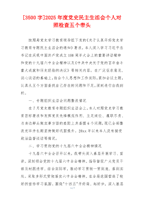 [3500字]2025年度党史民主生活会个人对照检查五个带头