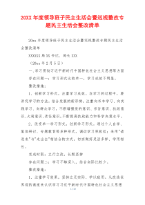 20XX年度领导班子民主生活会暨巡视整改专题民主生活会整改清单