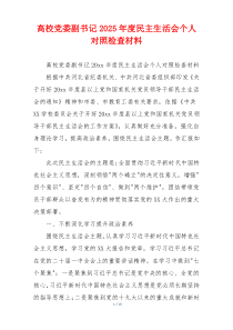 高校党委副书记2025年度民主生活会个人对照检查材料