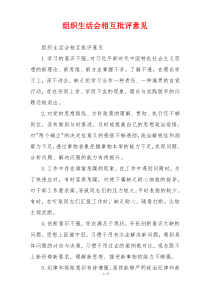 组织生活会相互批评意见