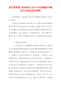 某区委常委、组织部长2025年巡视整改专题民主生活会发言提纲