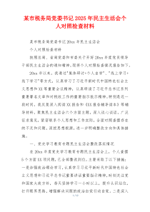 某市税务局党委书记2025年民主生活会个人对照检查材料