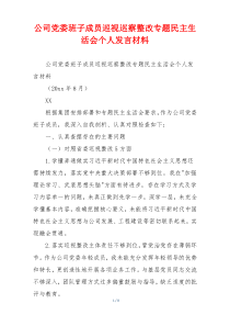 公司党委班子成员巡视巡察整改专题民主生活会个人发言材料