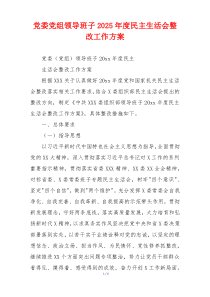 党委党组领导班子2025年度民主生活会整改工作方案