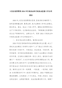 X县应急管理局2024年行政执法和行政执法监督工作分析报告