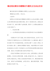 镇巡视巡察后问题整改专题民主生活会发言