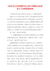 [3000字]公司党委书记2025年度民主生活会个人对照检查材料