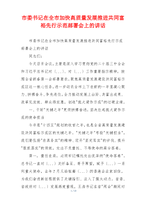 市委书记在全市加快高质量发展推进共同富裕先行示范部署会上的讲话