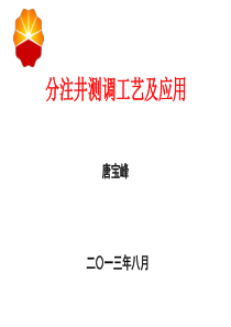 分注井测调工艺及应用