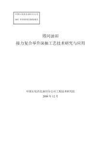 塔河油田接力复合举升深抽工艺技术研究与应用(技术报告)