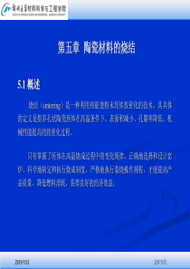 河南省精品课程陶瓷工艺原理(1)