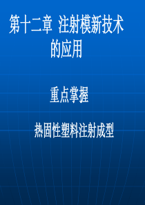 注塑成型工艺第十二章注射模新技术的应用