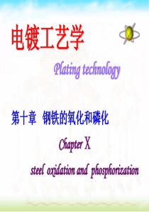 电镀工艺学-钢铁的氧化和磷化（PPT 35页）